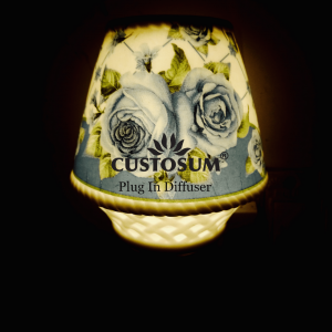 Alternative view of Plug In DiffuserPID06