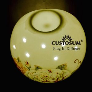 Alternative view of Plug In Diffuser PID02